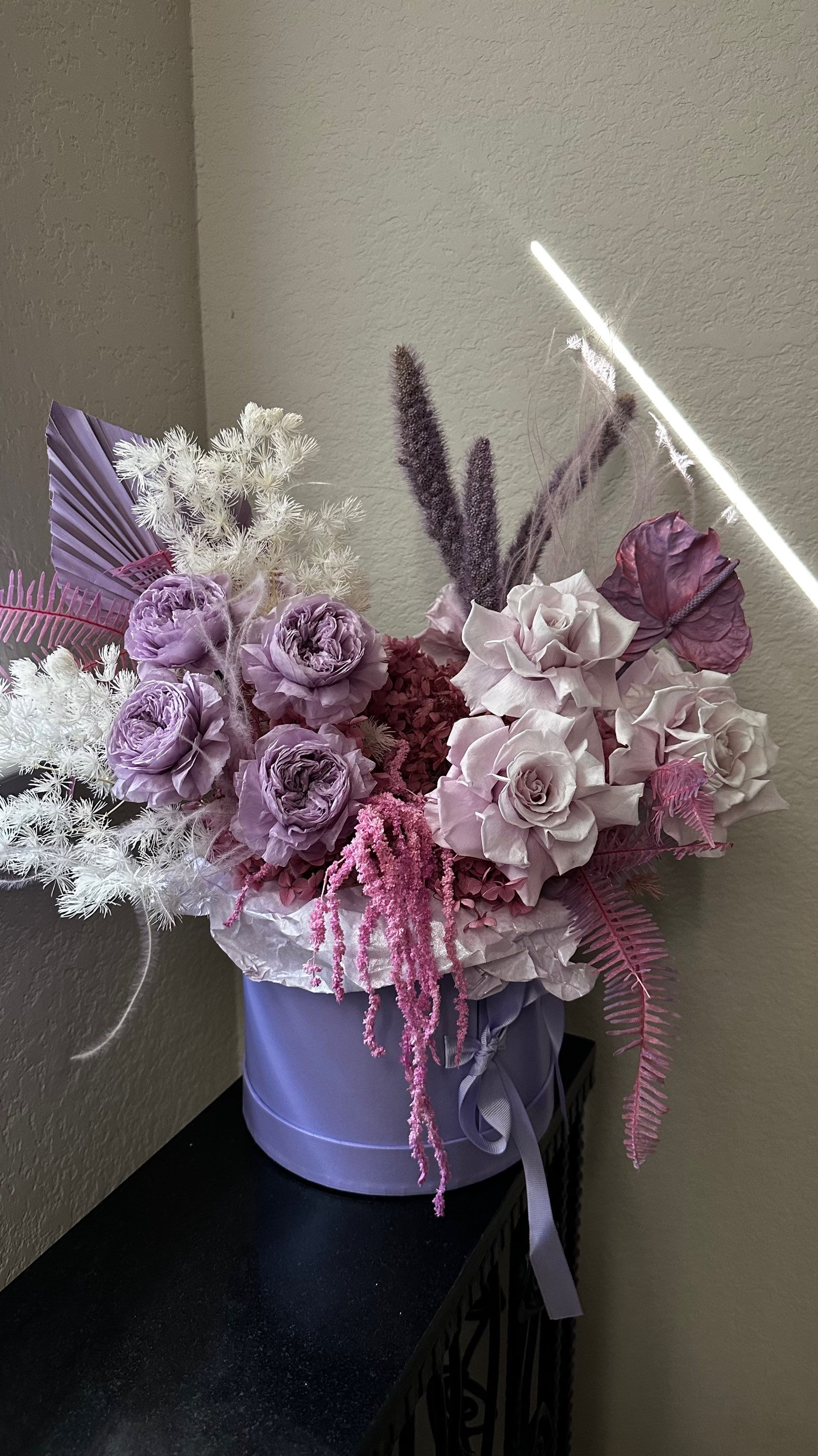 LONG LASTING "PURPLE DREAM'