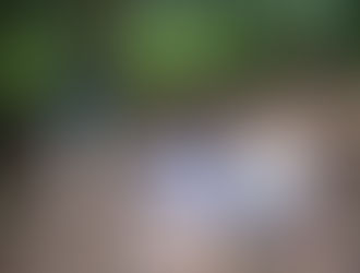 Spring is in the Air