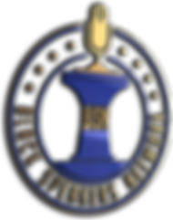 Copy of BSN Primary Logo (2).png