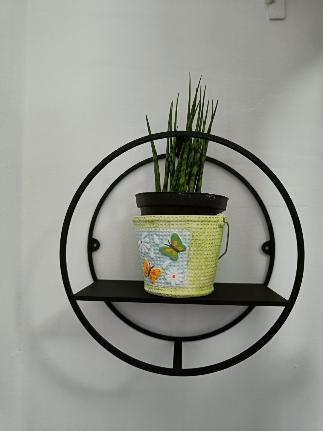 Circular Wall Shelf