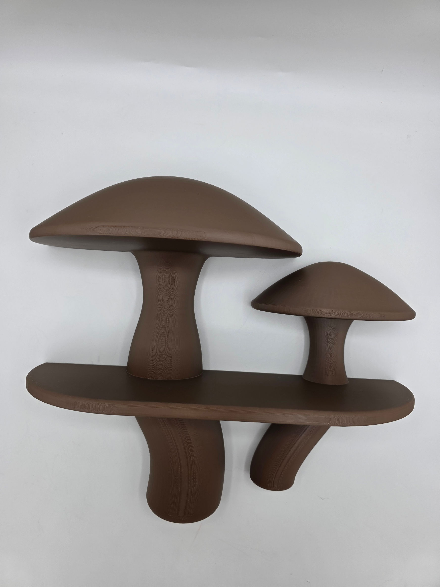 Mushroom Shelf