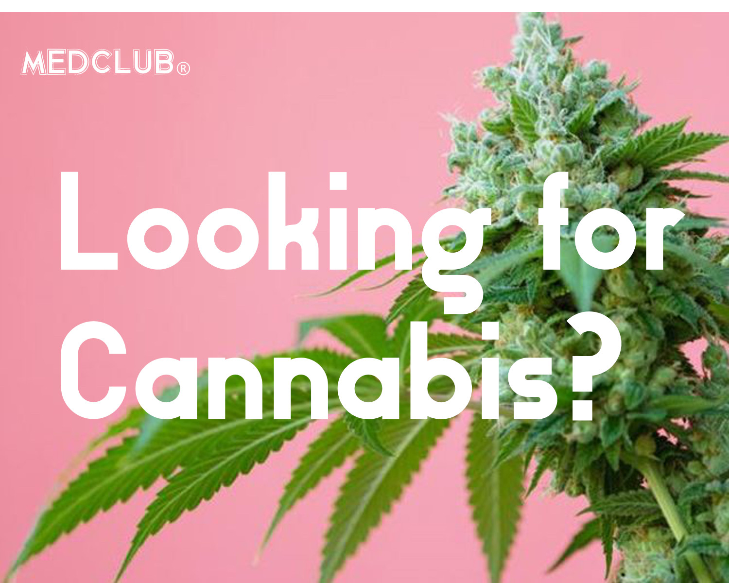 List of ALL Florida Medical Marijuana Dispensares