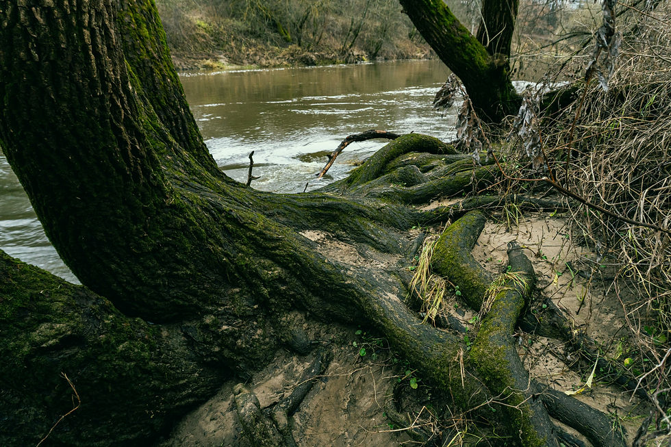 katerinas-VtEz3yDq3W4-unsplash.jpg