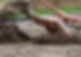 Long Jump