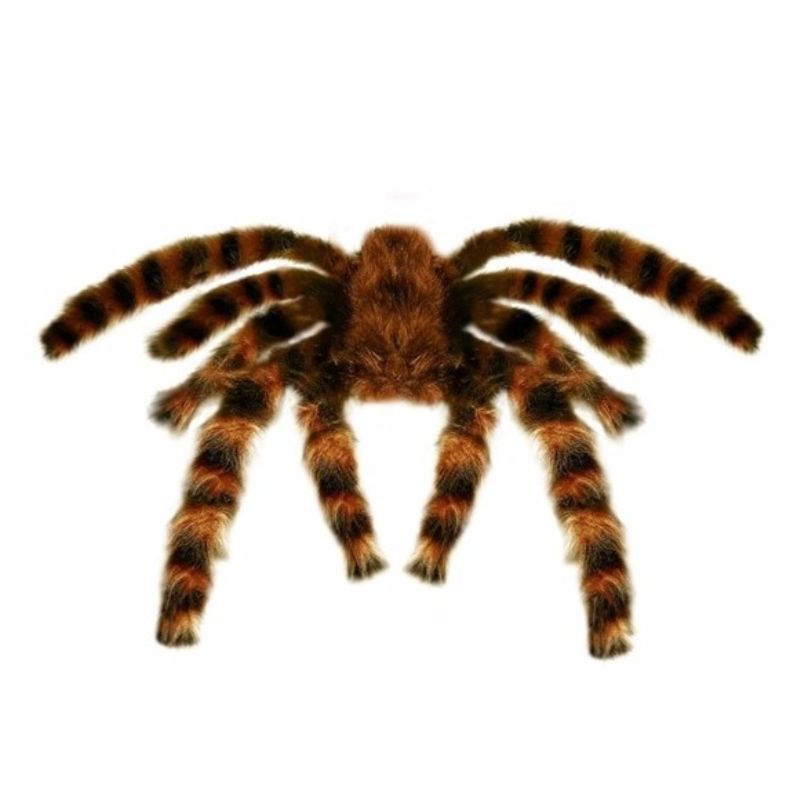 Dekors Tarantuls zirneklis 65cm