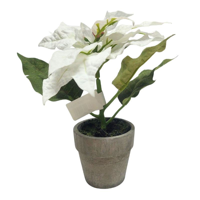 Ziedi podiņā 18-25cm balta mix