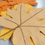 Sīktēls: Dekors lapa kļavas (6) 17.5cm oranža