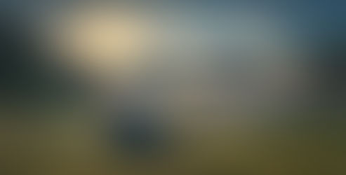 March 17, 2024 - Foggy morning at Geroldsee