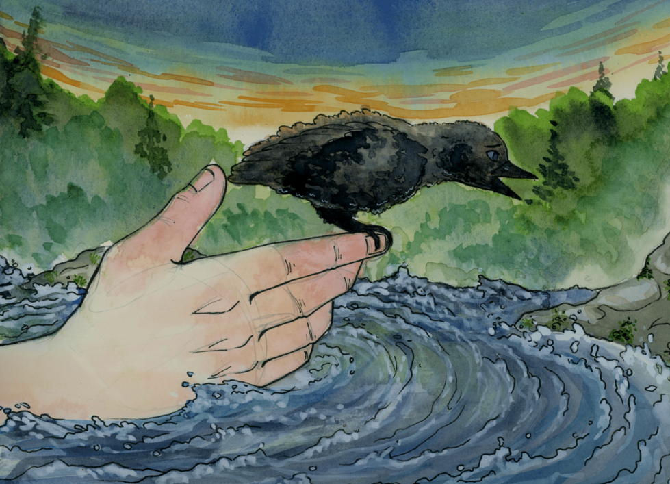 image_2025-02-18_145330588