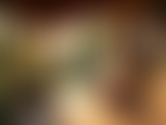 Experience Authentic African Homestays in South Africa