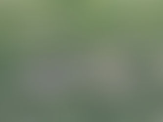 Αυτοψία στον περιβάλλοντα χώρο του Κτήματος Τζερμιά: Ξεραμένο γκαζόν και προχειρότητα πίσω από τις εξαγγελίες Ψυχάλη!