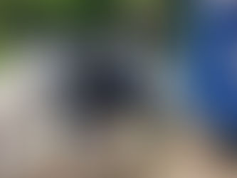 "Πνιγμένος" στα σκουπίδια ο Δήμος Λυκόβρυσης-Πεύκης με τη δημοτική αρχή να αδιαφορεί επιδεικτικά!