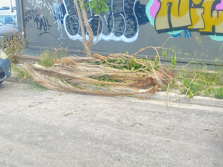 Καθαριότητα αλά... Ψυχάλης: Τσεκ στο app, ενώ τα σκουπίδια παραμένουν ακόμα στο πεζοδρόμιο!