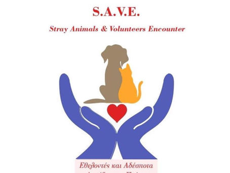 Η S.A.V.E Λυκόβρυσης-Πεύκης κατηγορεί τον Δήμαρχο Ψυχάλη και την αρμόδια Αντιδήμαρχο για ανυπαρξία και αδιαφορία όσον αφορά στα αδέσποτα του Δήμου!