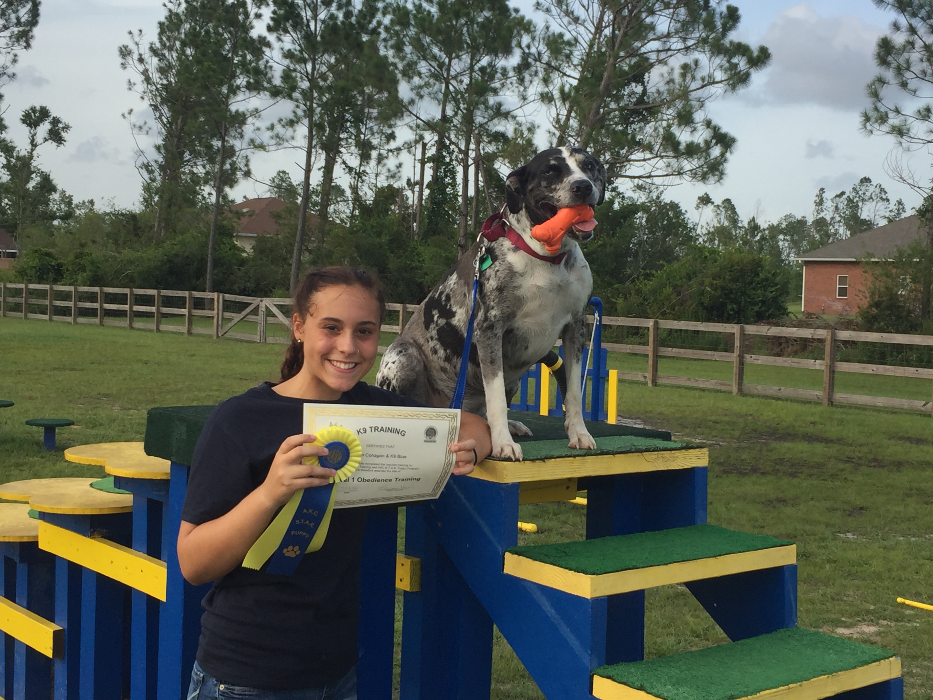 k9 training panama city