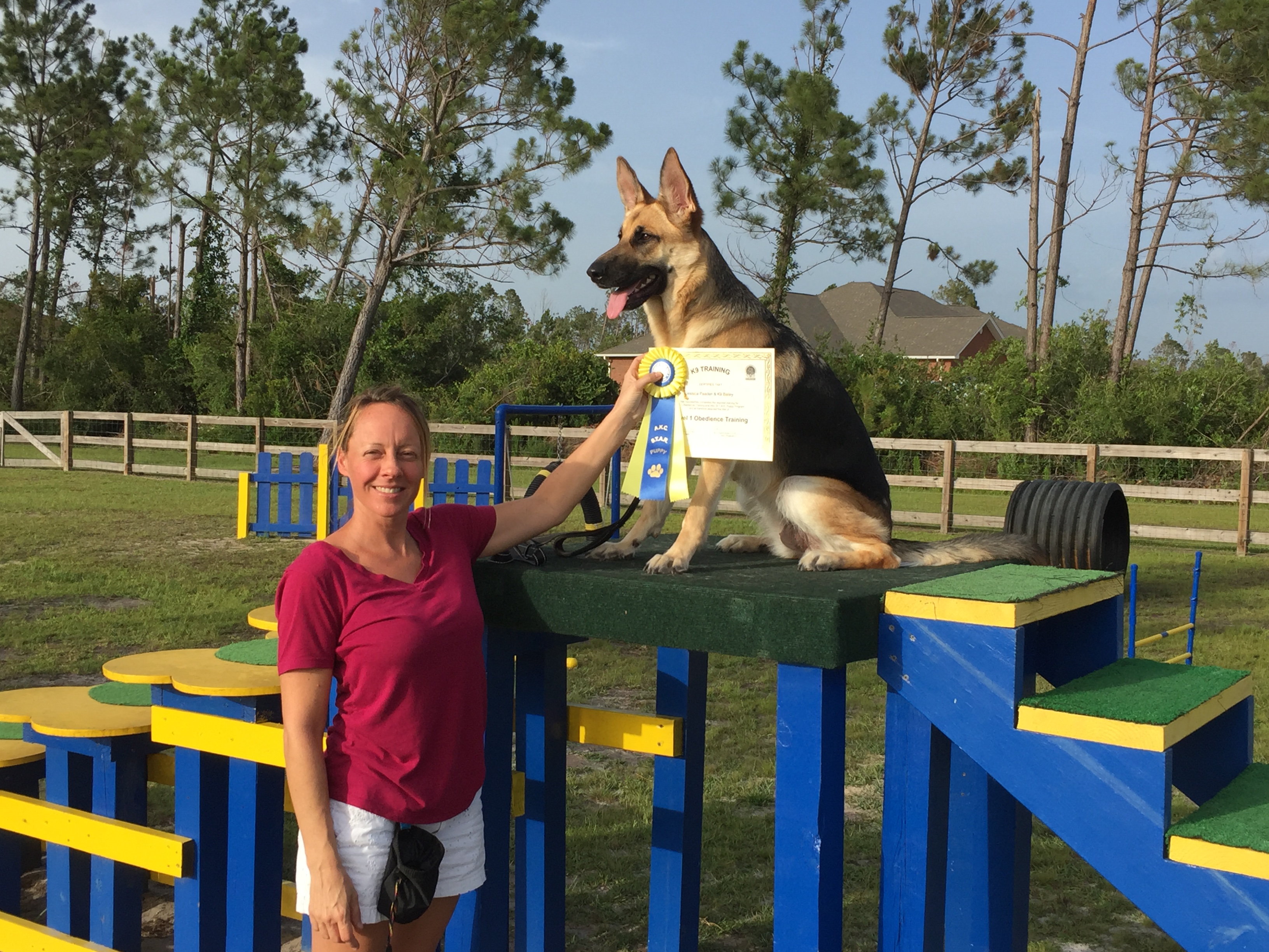 k9 training panama city