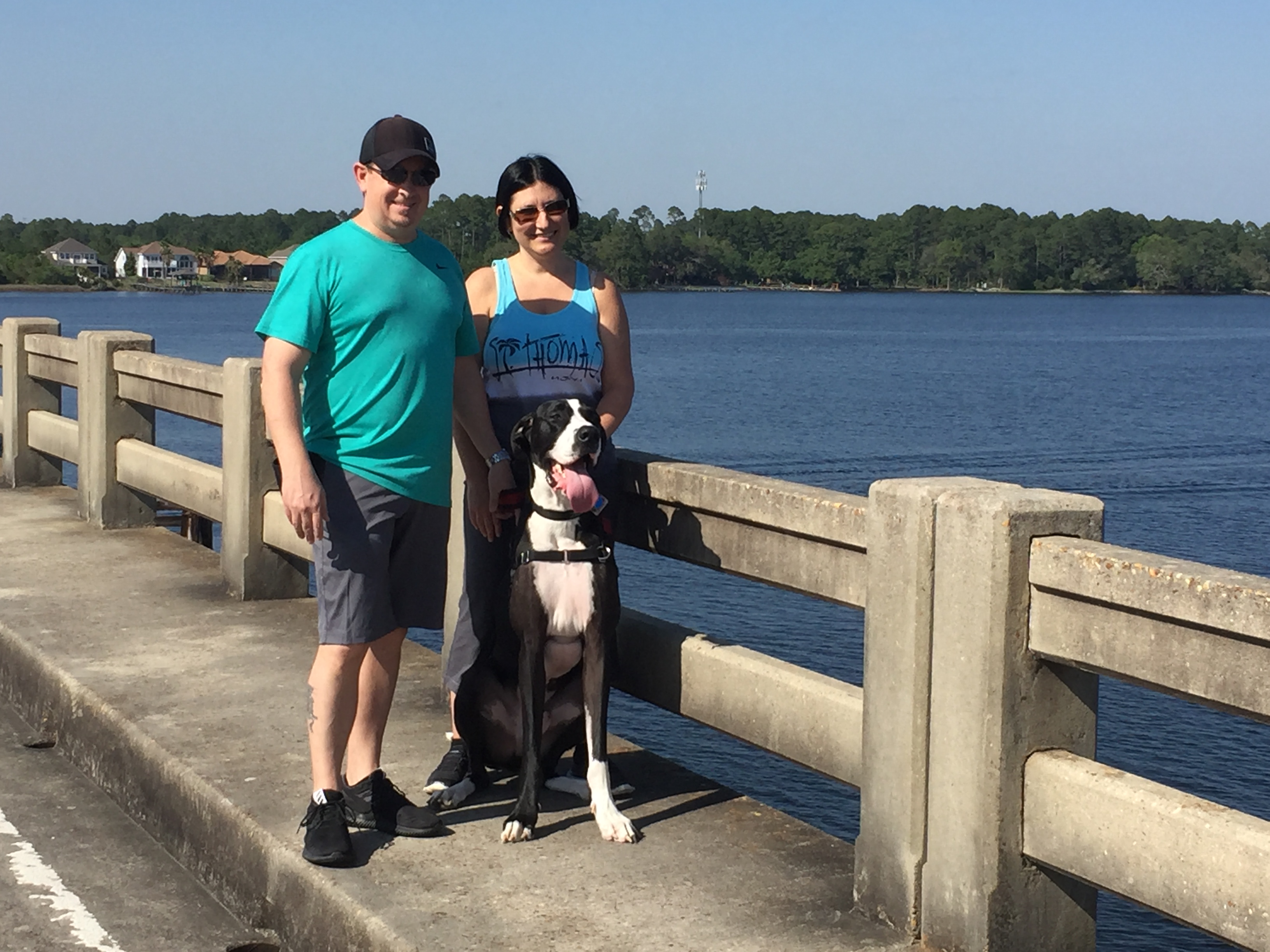 K9 Panama City Beach K9training Panama City