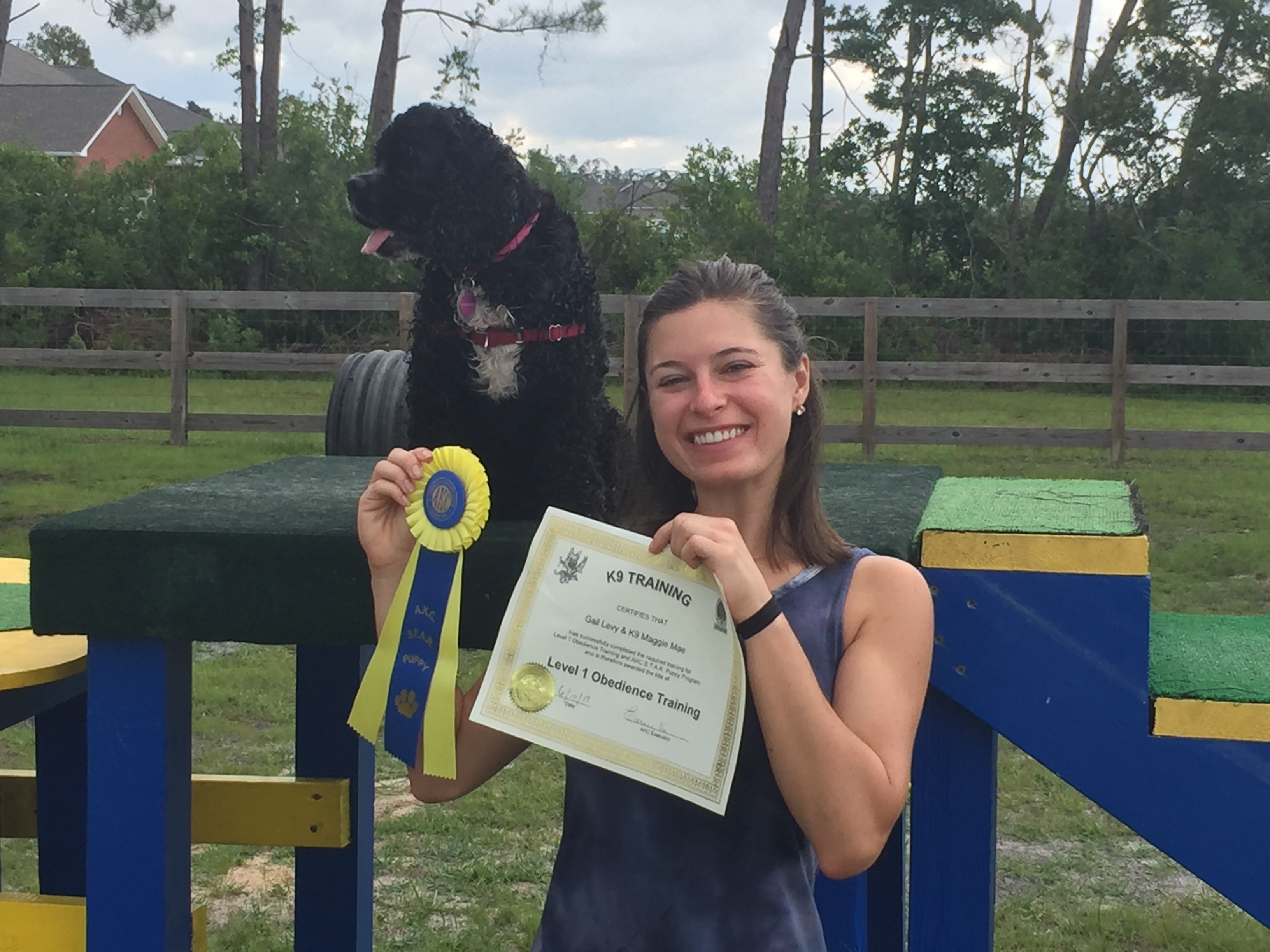 k9 training panama city