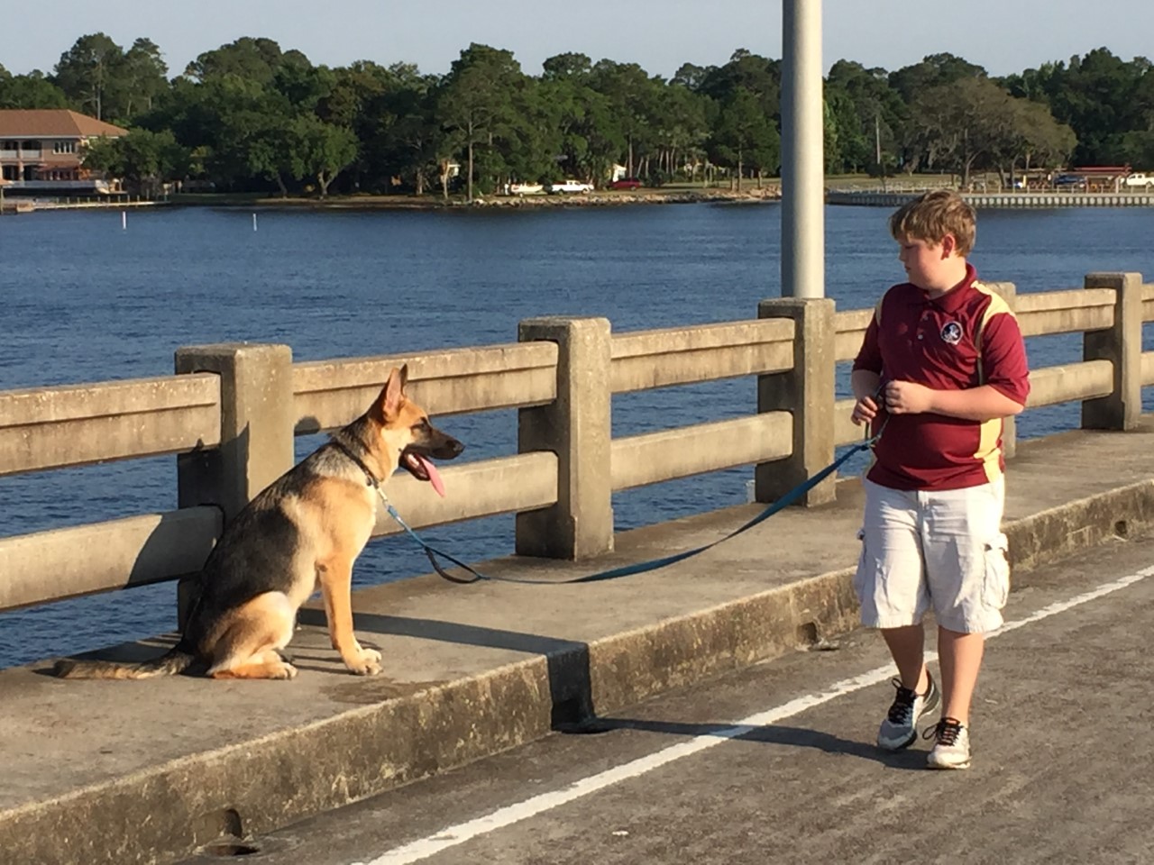 k9 training panama city