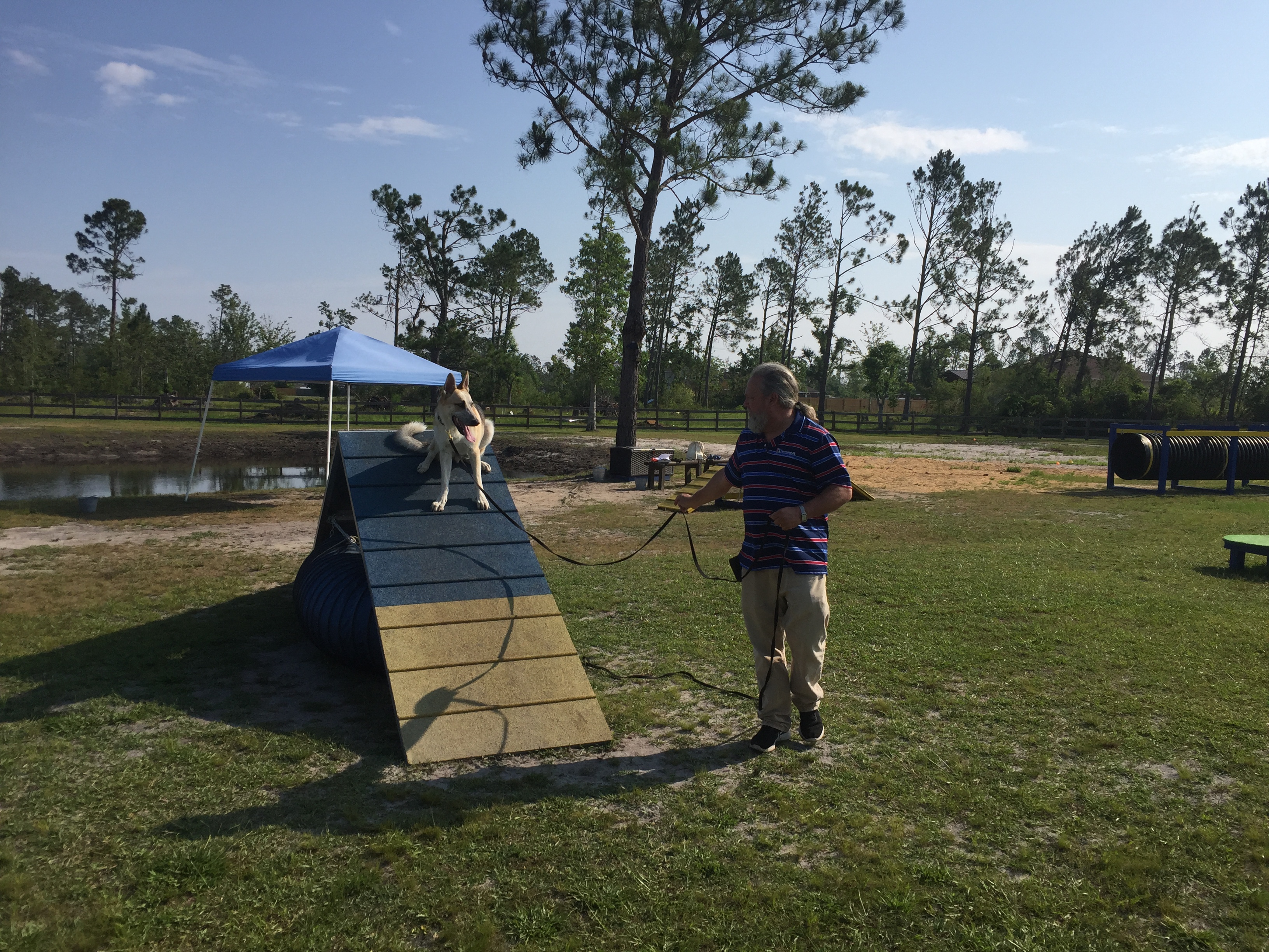 K9 Panama City Beach K9training Panama City