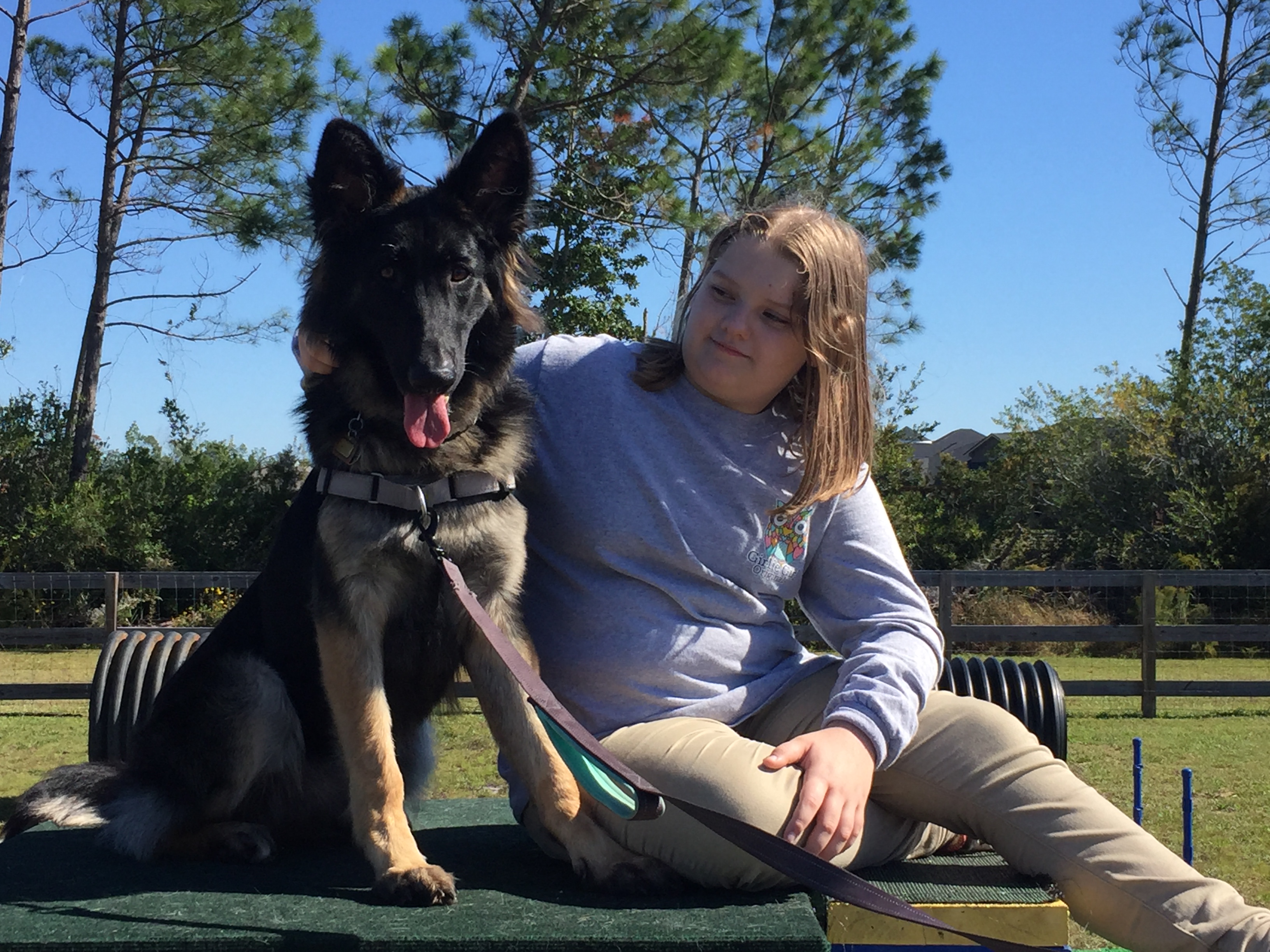 k9 training panama city