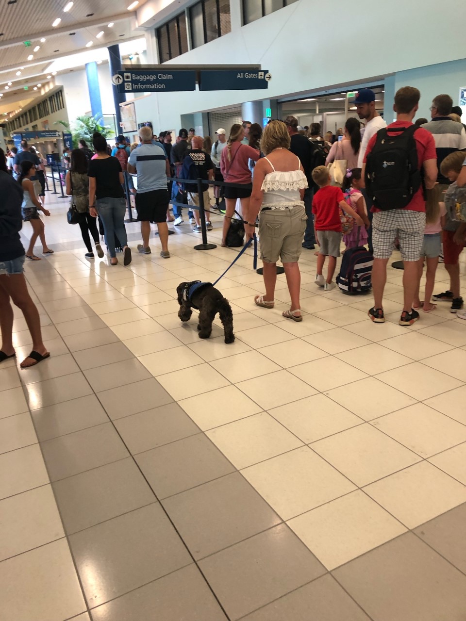 K9 Panama City Beach K9training Panama City