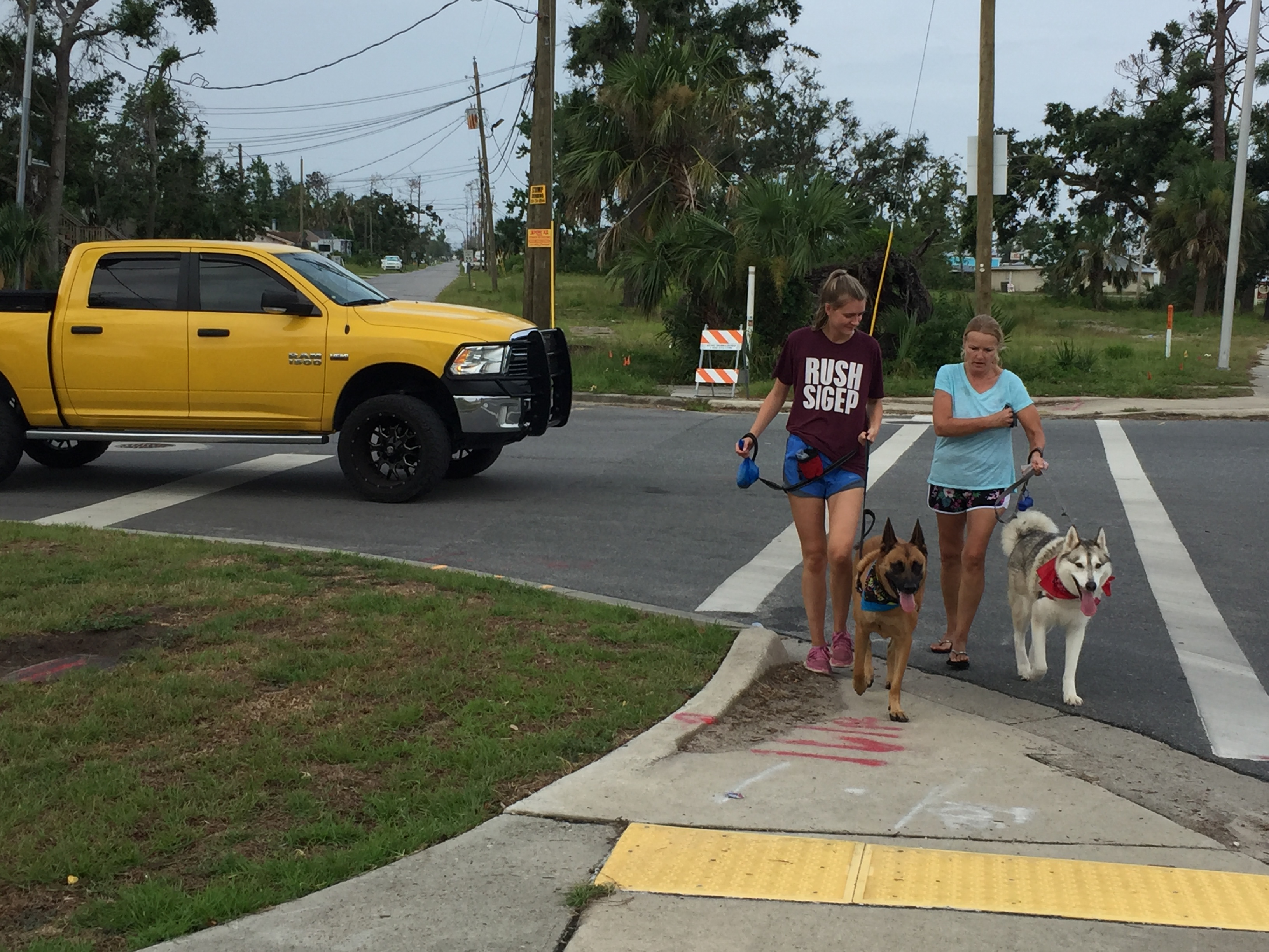 K9 Panama City Beach K9training Panama City