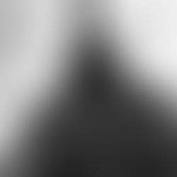 a love letter to paris