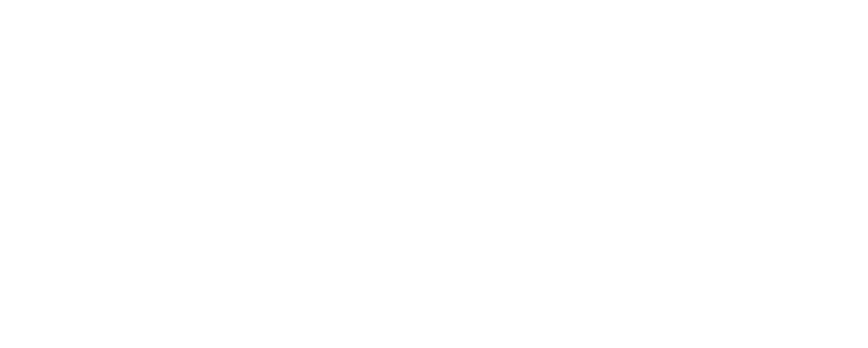 DS LOGO.png