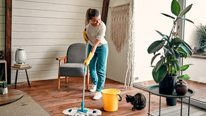 House cleaning services