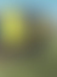 A Detailed Guide to Buying and Assessing Caravans for Sale