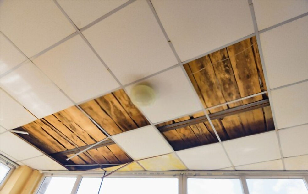 Suspended Ceiling Maintenance
