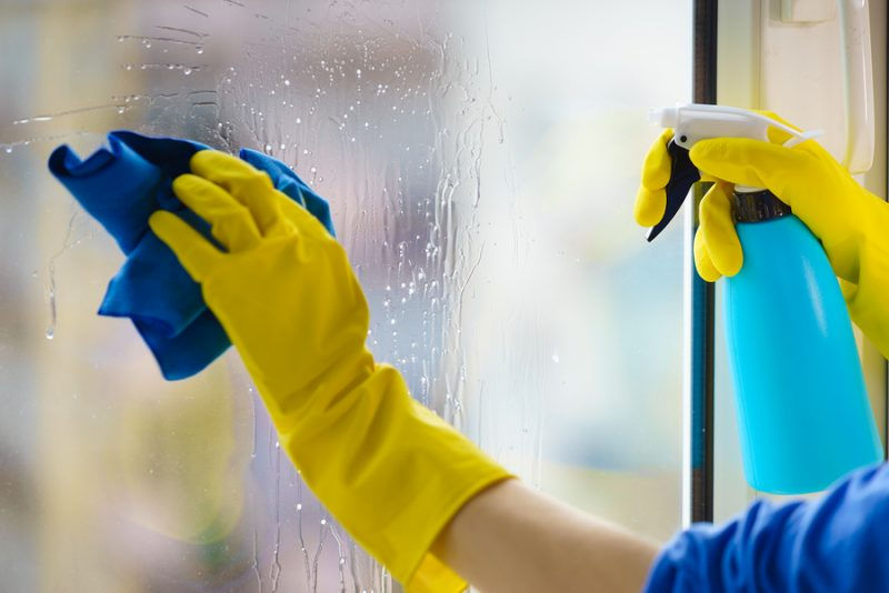 Carpet Cleaning Services