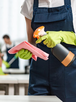 Cleaners Maitland