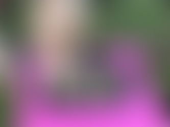 Innovative Features to Look for in Horse Feeders for Sale