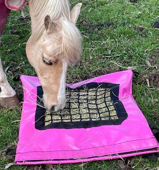 Horse Feeders for Sale