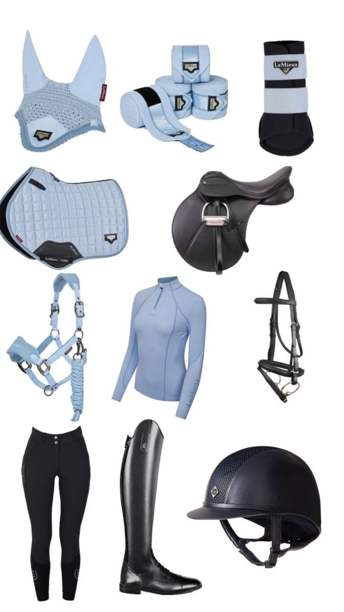 Horse Riding Accessories for Sale