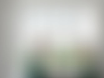 Window Replacement Ringwood