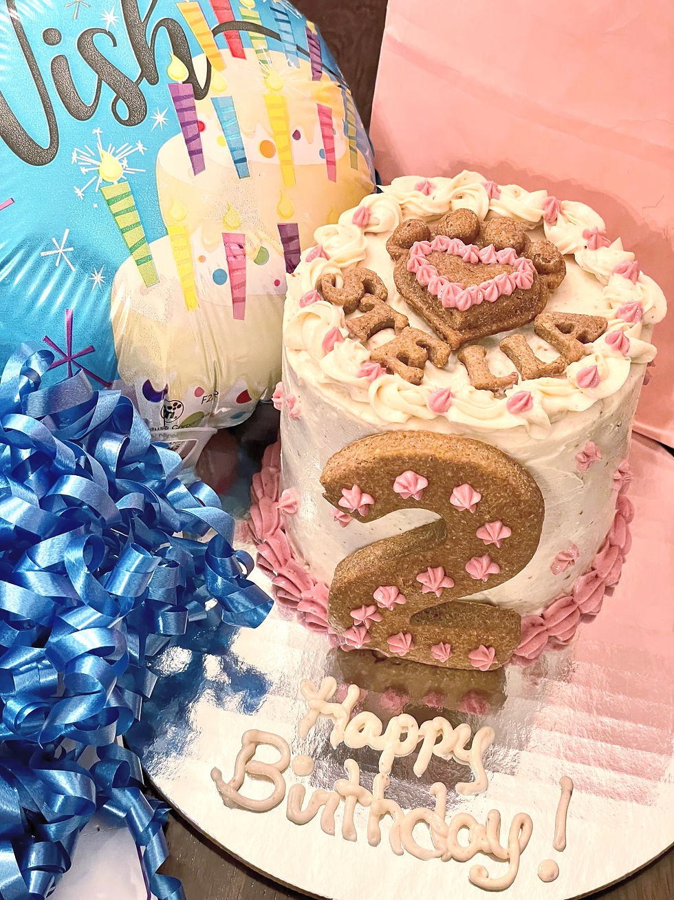 Thumbnail: Custom Doggie Cakes