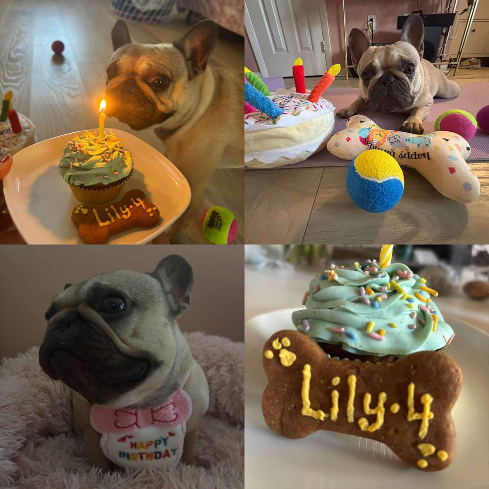 Thumbnail: 14-Piece Pawty Pack