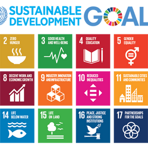 The Water-Witch™ and the United Nations Sustainable Development Goals