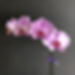 IMG_1083.HEIC.JPG
