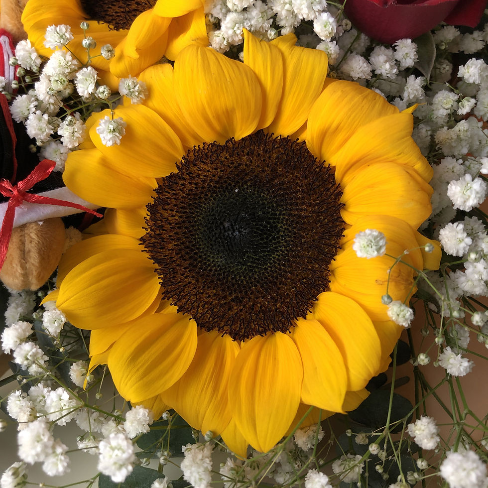 Thumbnail: Graduation Teddy Bear Fresh Sunflower Bouquet