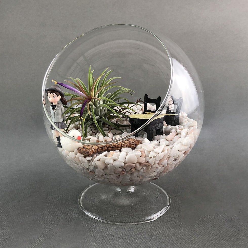 Thumbnail: Glass Pedestal Tillandsia Ionantha Air Plant Terrarium