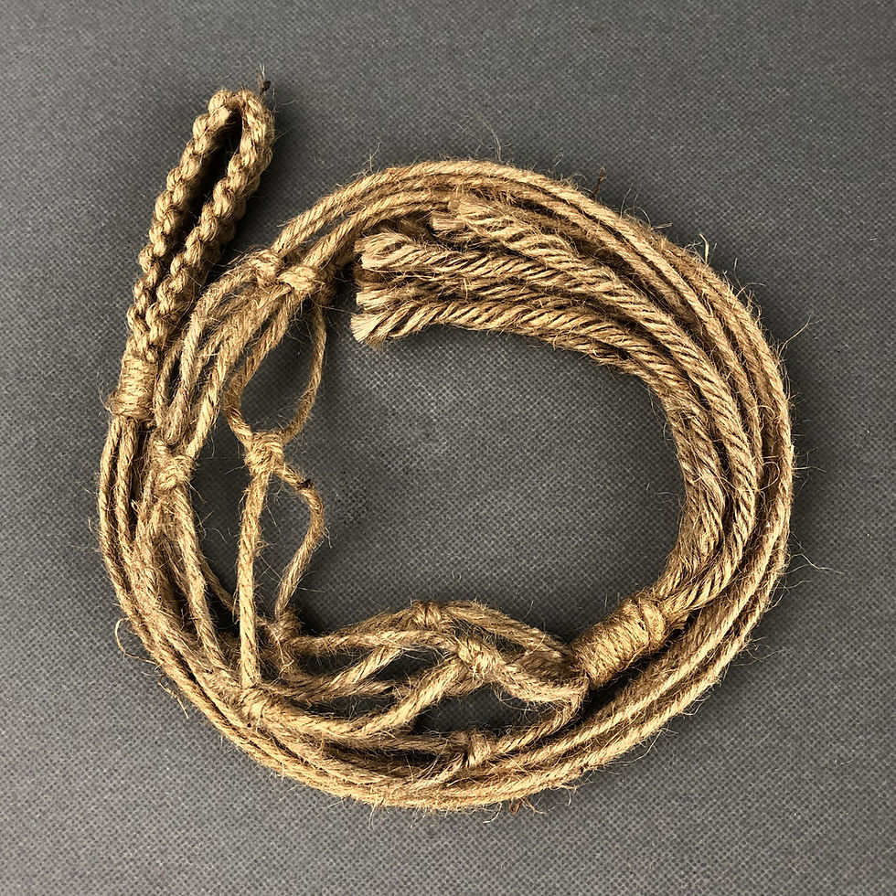 Thumbnail: Spider Plant with Macrame Plant Hanger