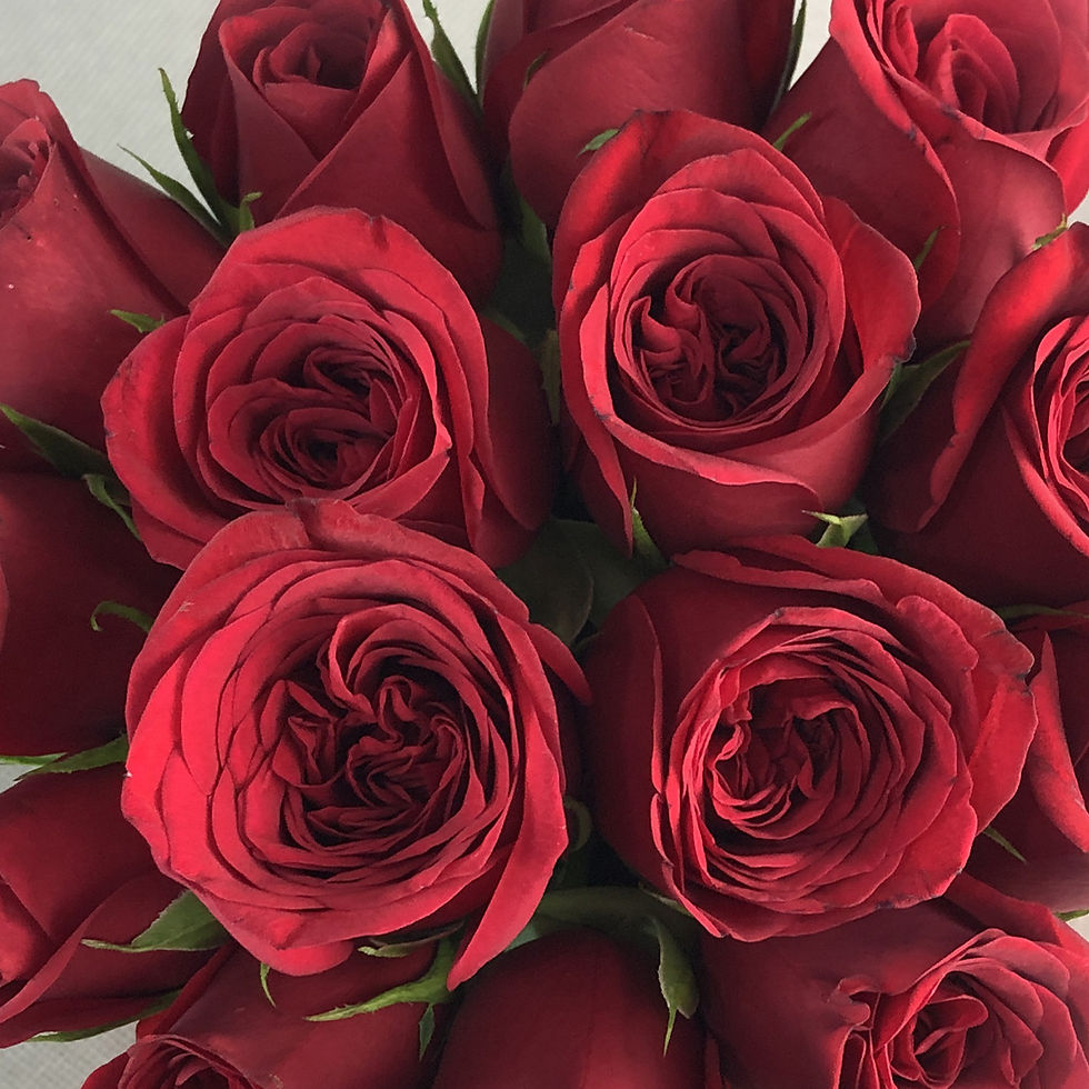 Thumbnail: Fresh Red Roses Flower Box