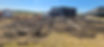 Resized_20230815_161545.jpeg