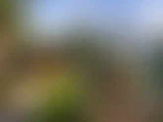 Cabaña en fraccionamiento privado vs aislada