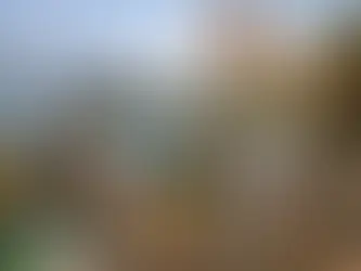 7 tendencias de escapadas cerca Guadalajara