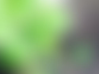 只需一餐晚飯的價錢,你將擁有更美好的頭皮